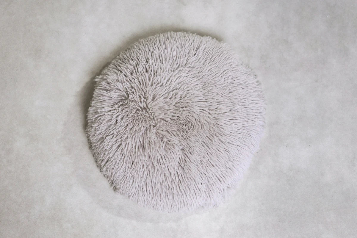 Cushion (Choose Color)