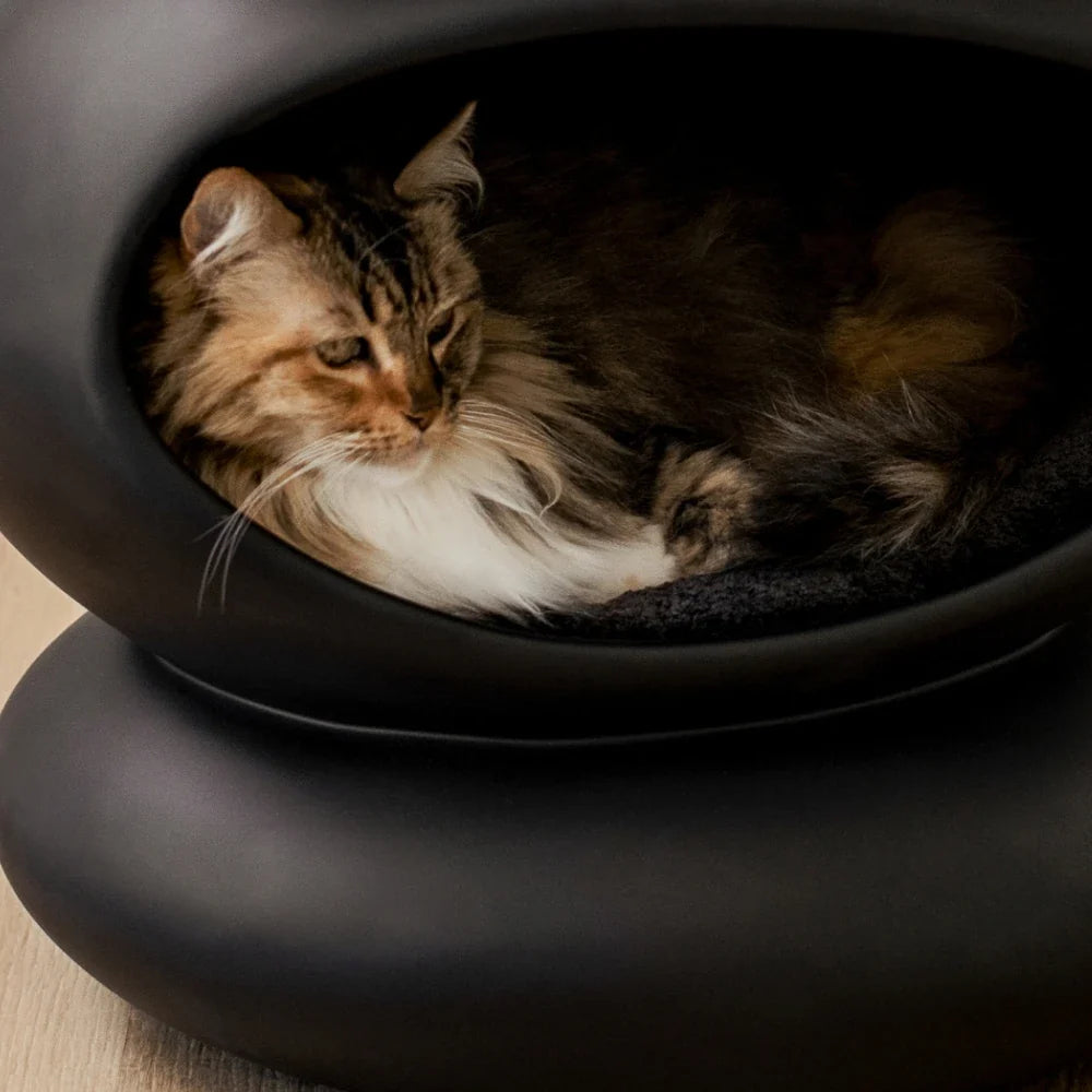Cushion (For Zen)