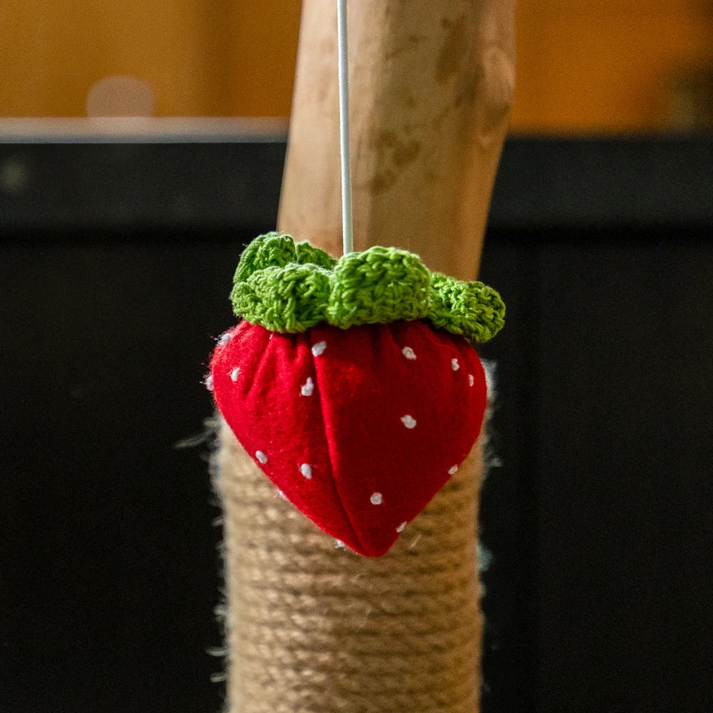Limited Edition Sweet Summer Fruit Pom-Poms