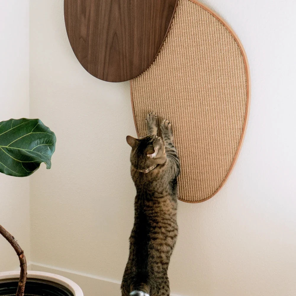 2x Scratching Pads (For Pietra)