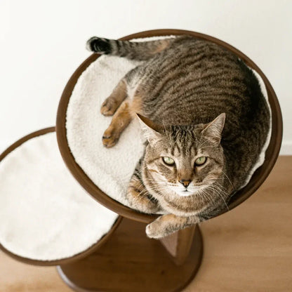 Gravity