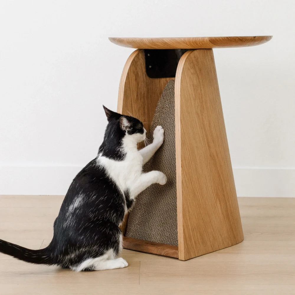 Kona Scratcher