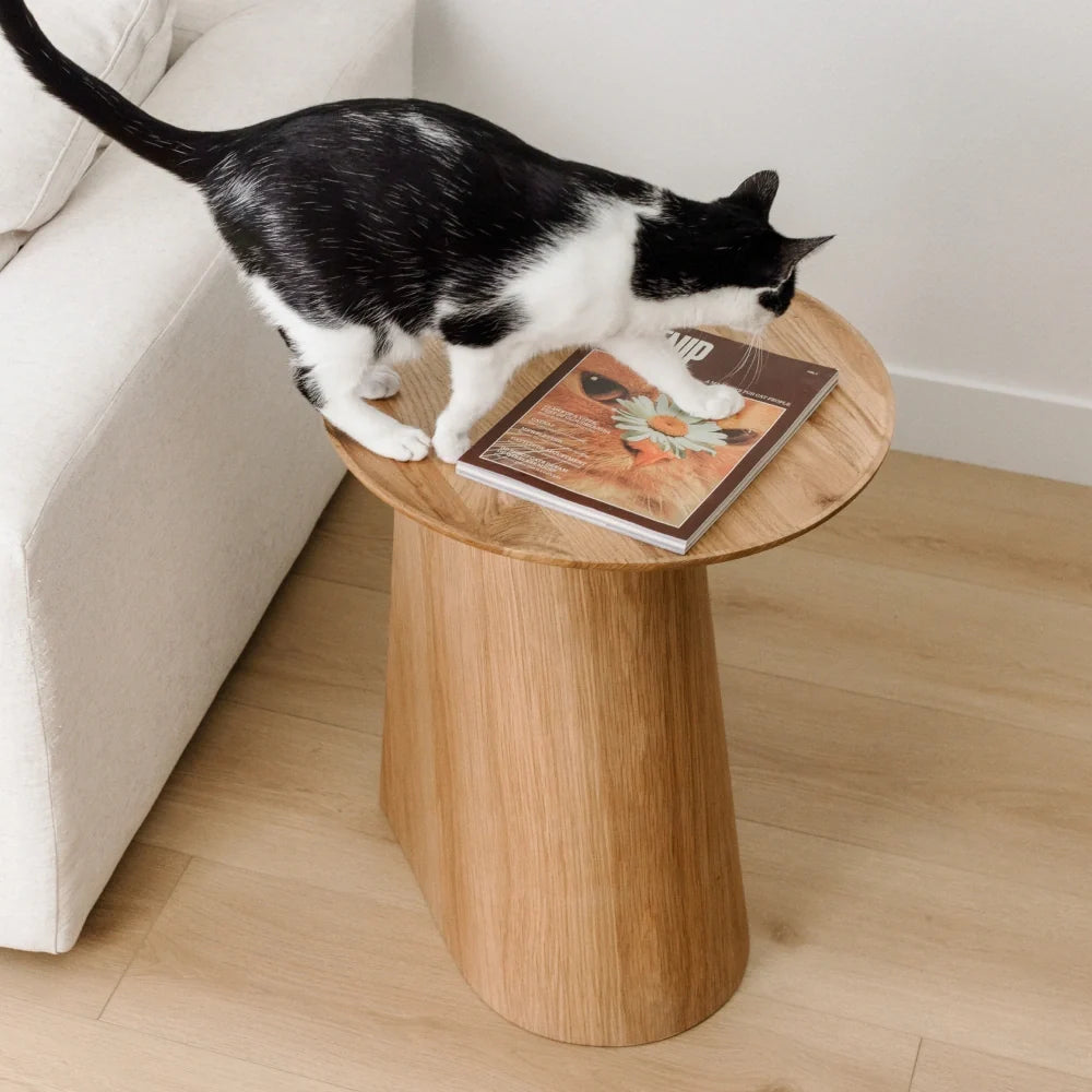 Kona Scratcher