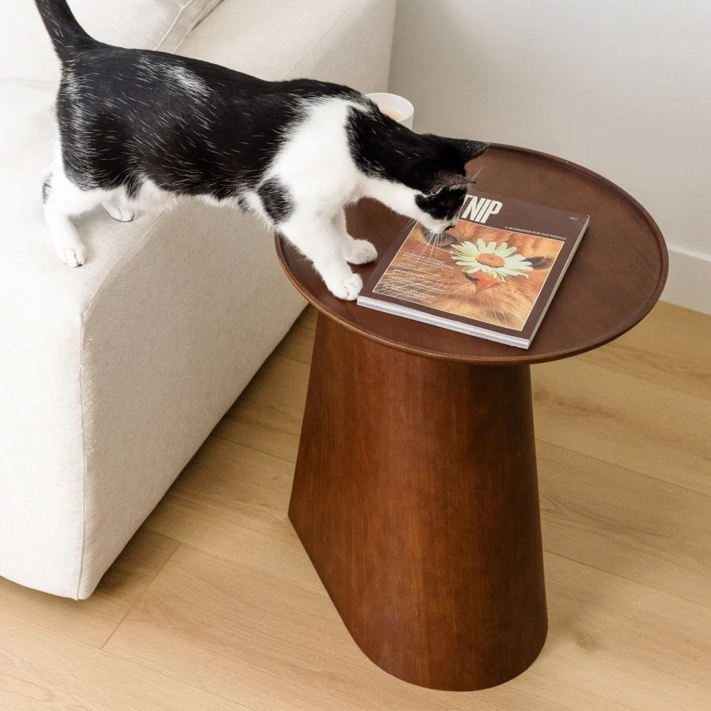 Kona Scratcher