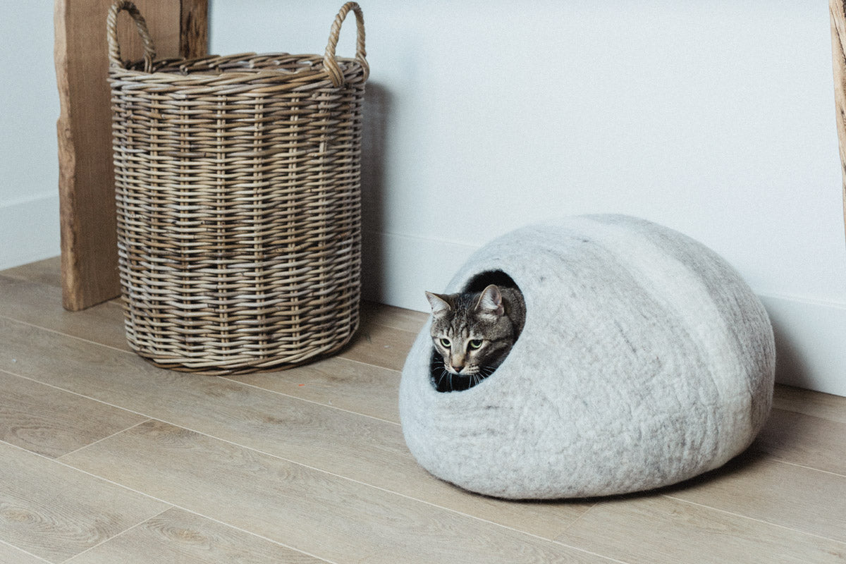 Horizon Cat Cave