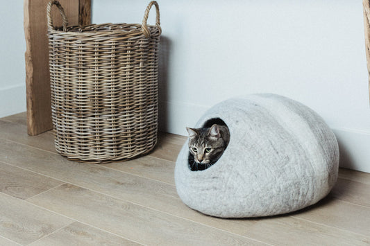 Horizon Cat Cave