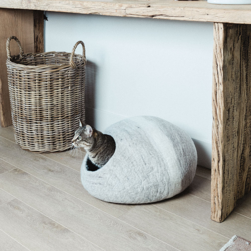 Horizon Cat Cave