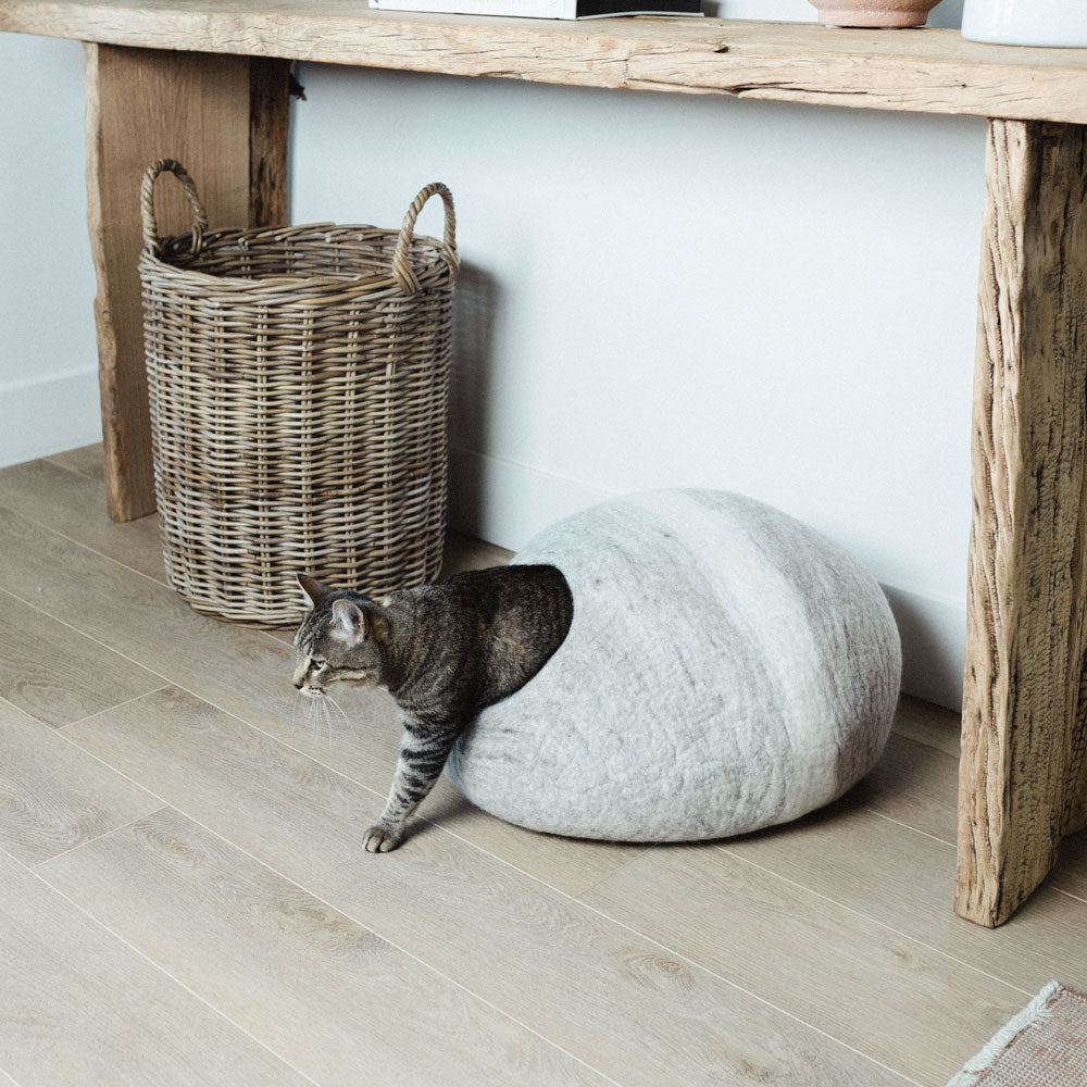 Horizon Cat Cave