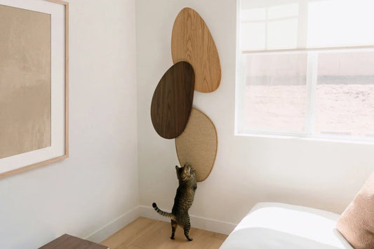 Pietra Scratcher