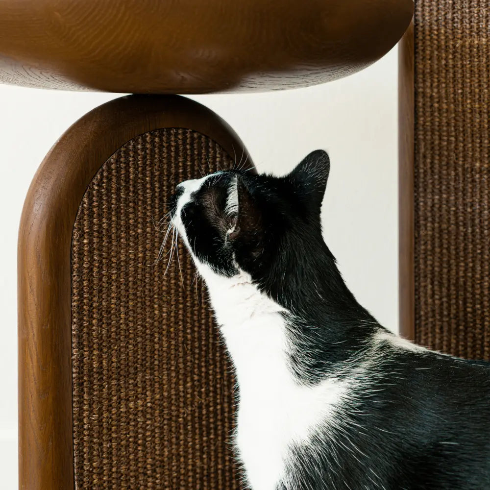 2x Scratching Pads (For Gravity)
