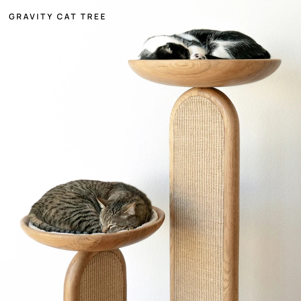 Cushion (For Bao & Gravity)