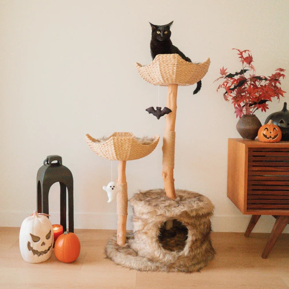 Limited Edition Halloween Pom-Poms