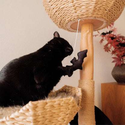 Limited Edition Halloween Pom-Poms