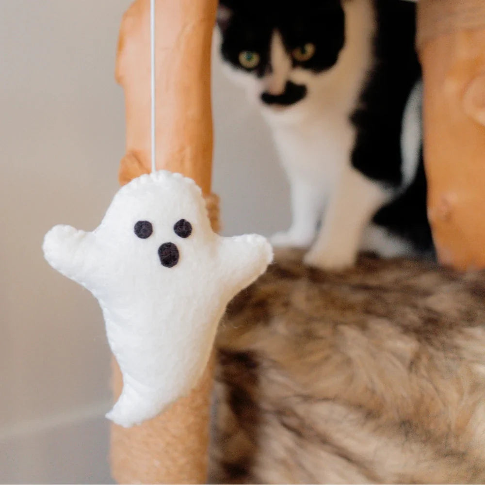 Limited Edition Halloween Pom-Poms