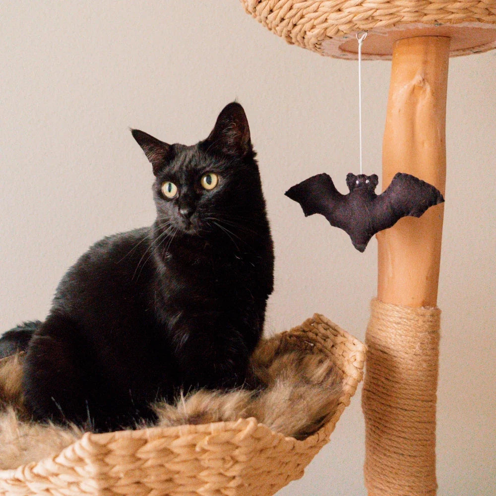 Limited Edition Halloween Pom-Poms