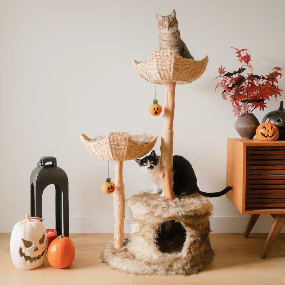Limited Edition Halloween Pom-Poms