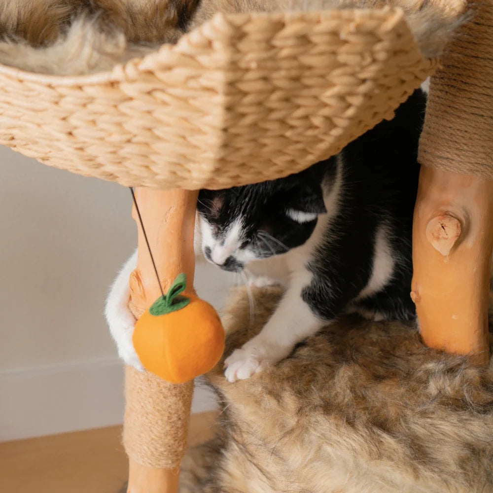 Limited Edition Halloween Pom-Poms