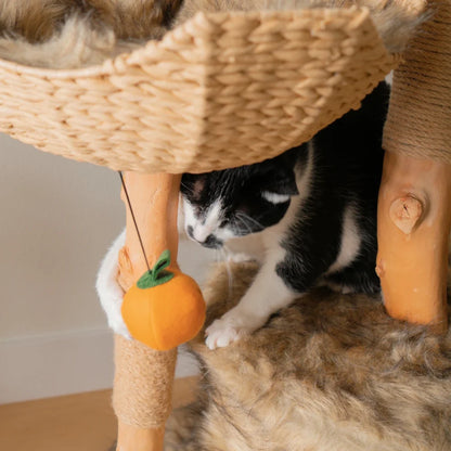Limited Edition Halloween Pom-Poms