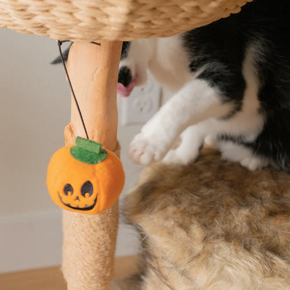 Limited Edition Halloween Pom-Poms