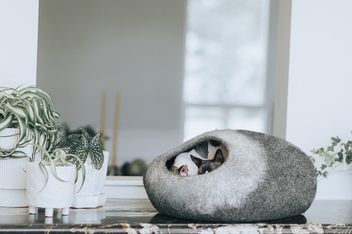 Skyline Cat Cave