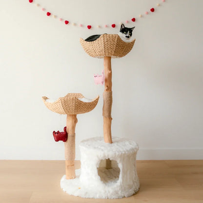 Limited Edition Sweetheart Kitty-Cat Pom-Poms